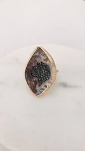 FZ Druzy