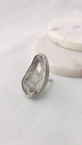 FZ Druzy
