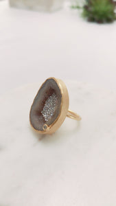 FZ Druzy