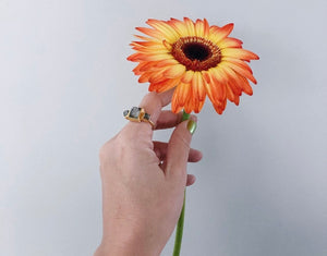 Carré Rings