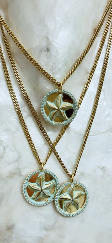 Star fish Tova