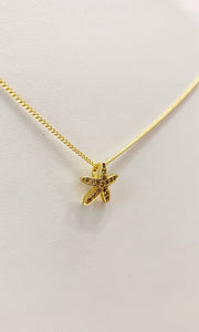Star Fish CZ
